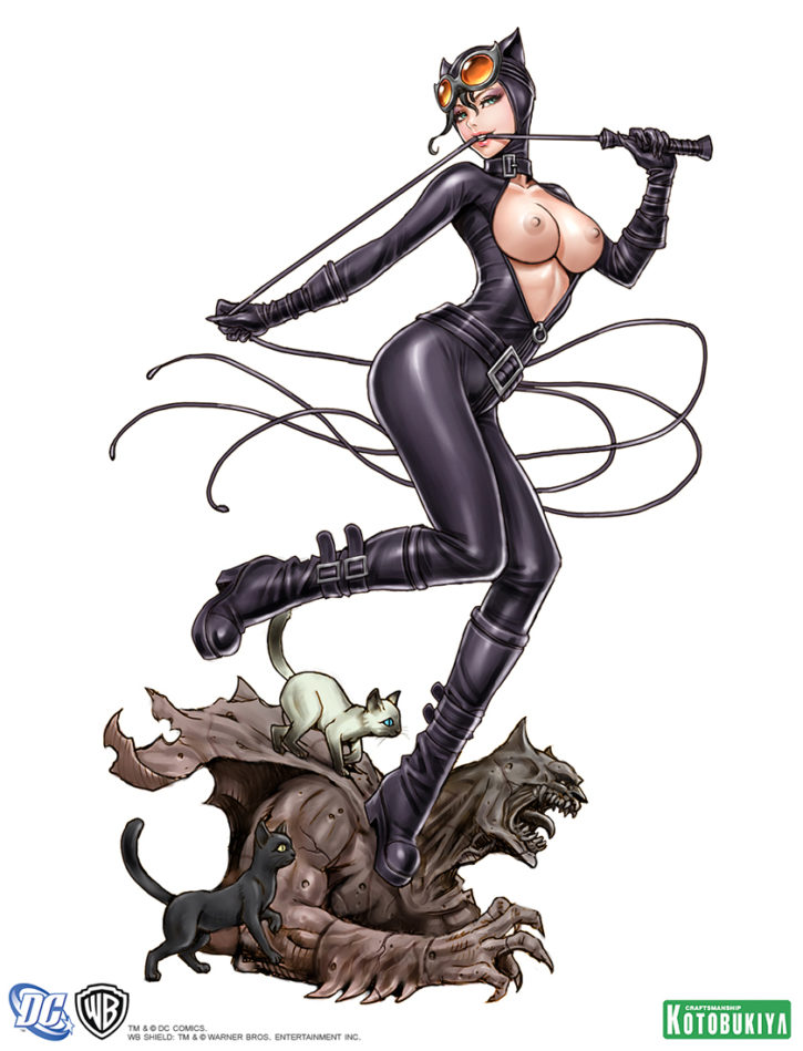 1566097 - Batman_(series) Catwoman DC dangergirlfan