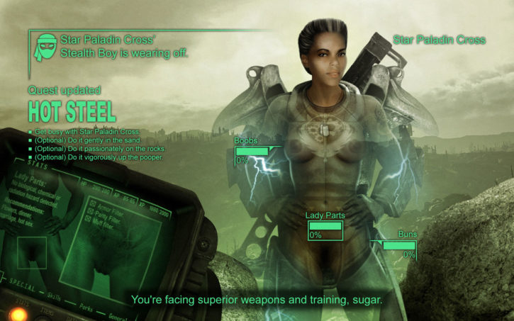 351312 - Fallout Fallout_3 Ranged_Weapon star_paladin_cross