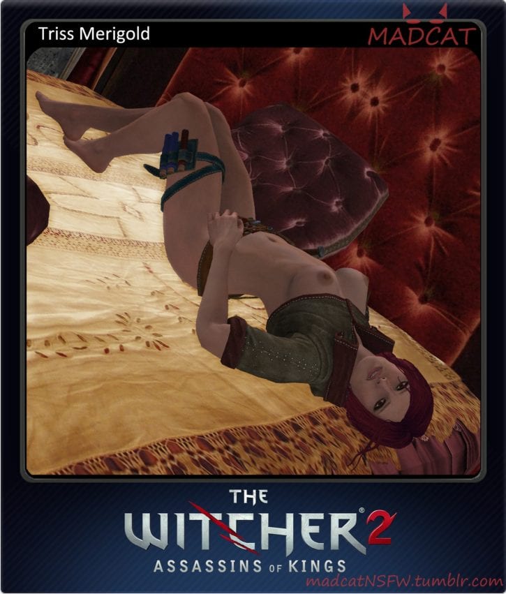 1315804 - Madcat The_Witcher Triss_Merigold