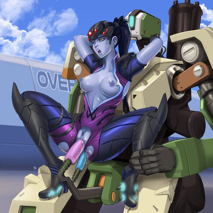 1893976 - Bastion Overlook Widowmaker