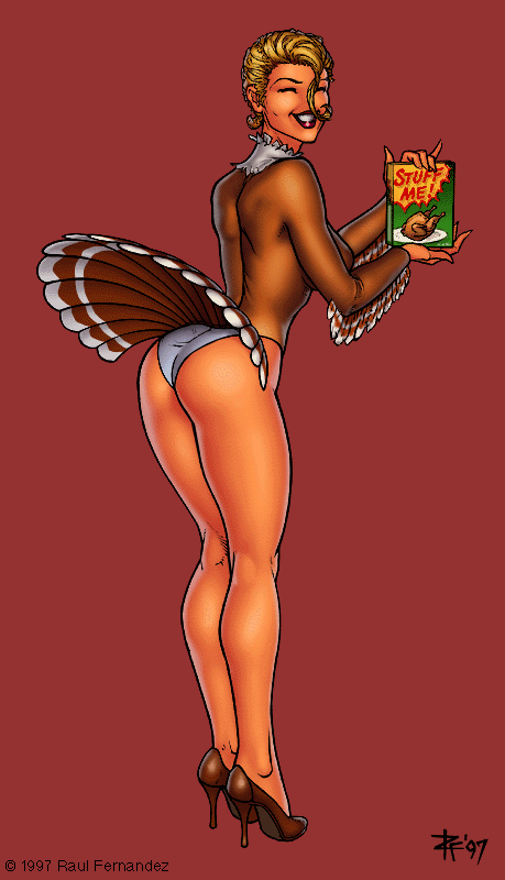 246750-raul_fernandez-thanksgiving-turkey